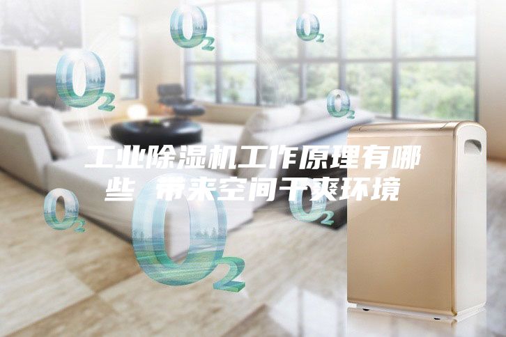 工业除湿机工作原理有哪些 带来空间干爽环境