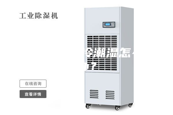 办公室阴冷潮湿怎么办？