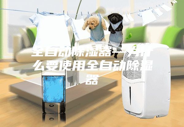 全自动除湿器—为什么要使用全自动除湿器
