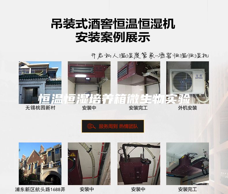 恒温恒湿培养箱微生物实验