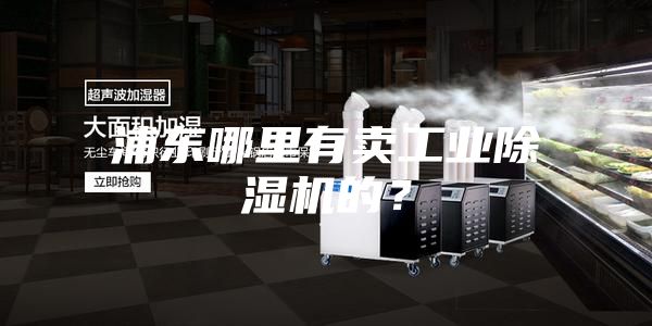 浦东哪里有卖工业除湿机的？