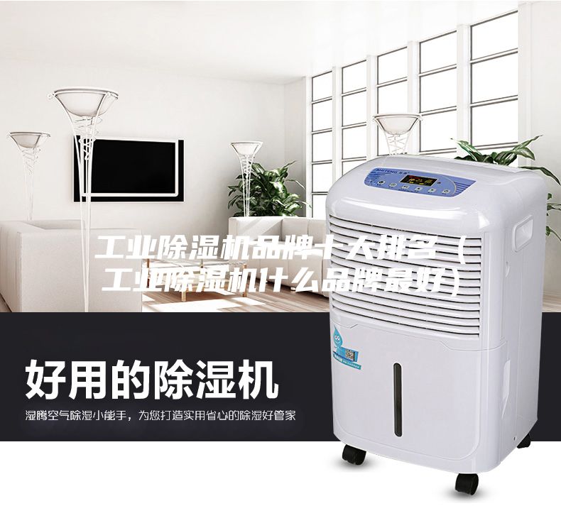 工业除湿机品牌十大排名（工业除湿机什么品牌最好）