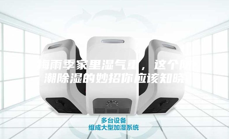 梅雨季家里湿气重，这个防潮除湿的妙招你应该知晓