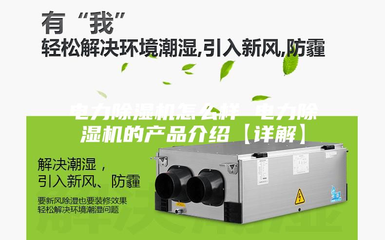 电力除湿机怎么样 电力除湿机的产品介绍【详解】
