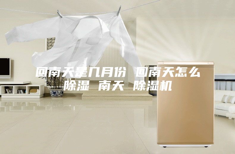 回南天是几月份 回南天怎么除湿 南天 除湿机