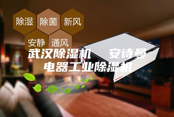 武汉除湿机  安诗曼电器工业除湿机