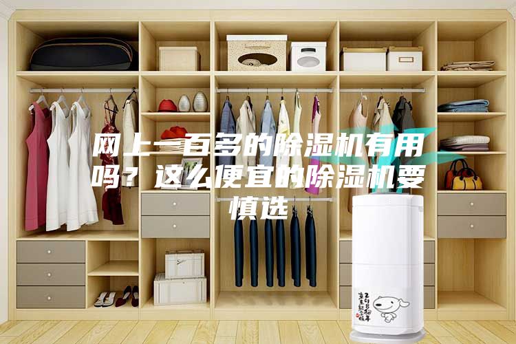 网上一百多的除湿机有用吗？这么便宜的除湿机要慎选