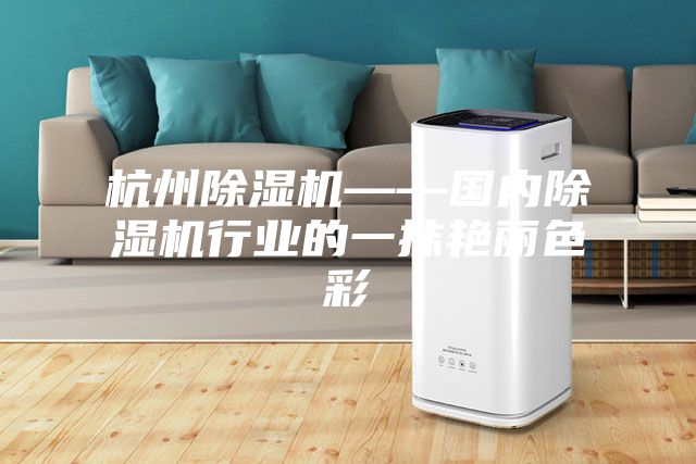 杭州除湿机——国内除湿机行业的一抹艳丽色彩