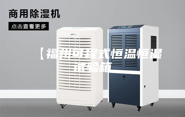 【福州可程式恒温恒湿试验箱