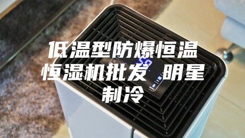 低温型防爆恒温恒湿机批发 明星制冷