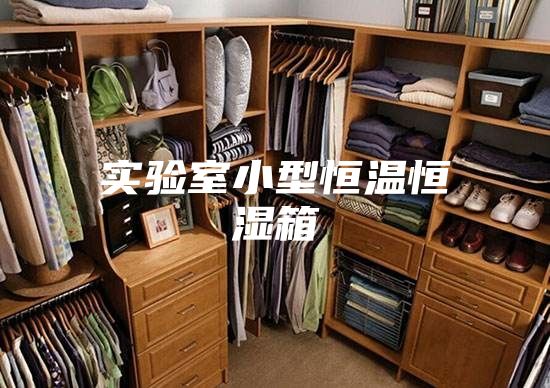 实验室小型恒温恒湿箱