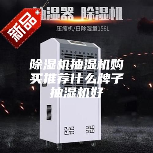除湿机抽湿机购买推荐什么牌子抽湿机好