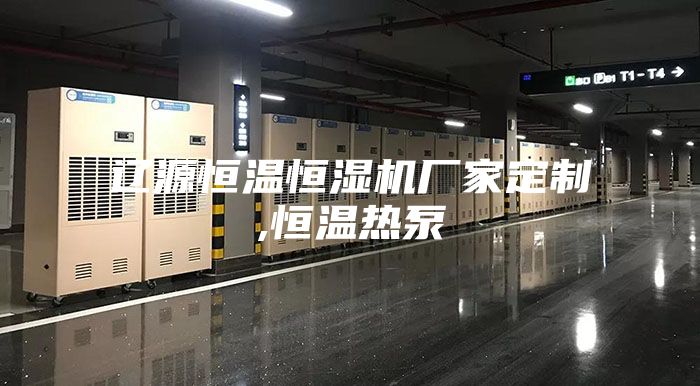 辽源恒温恒湿机厂家定制,恒温热泵