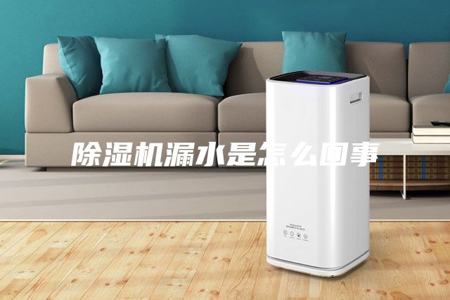 除湿机漏水是怎么回事