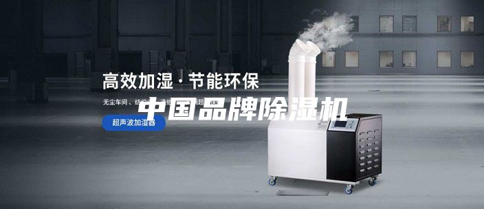 中国品牌除湿机