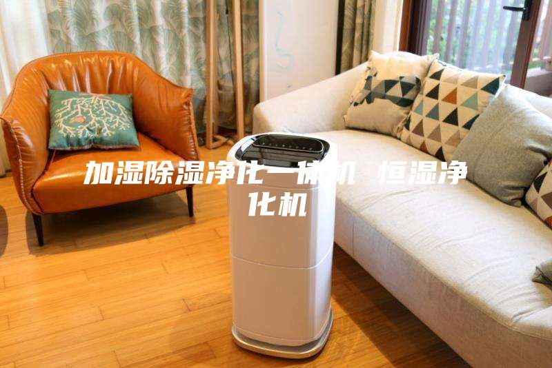 加湿除湿净化一体机 恒湿净化机