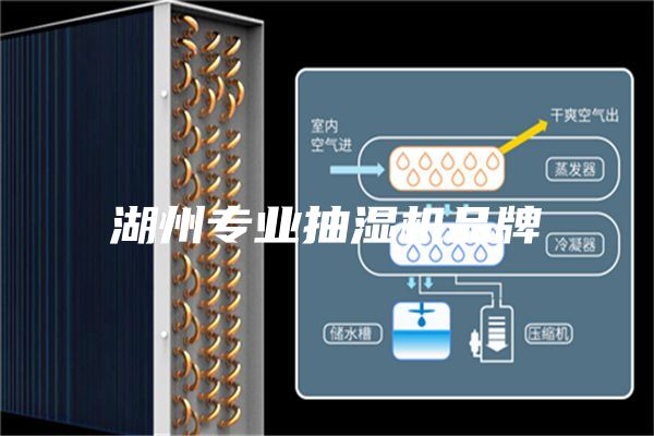 湖州专业抽湿机品牌