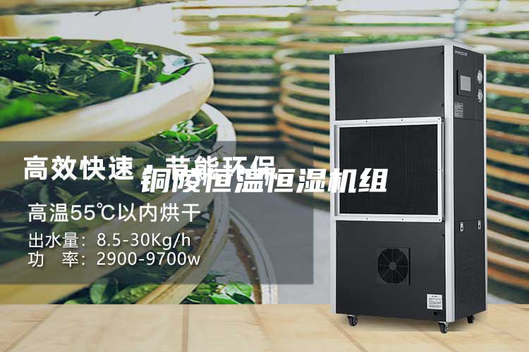 铜陵恒温恒湿机组