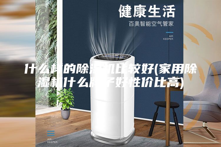 什么样的除湿机比较好(家用除湿机什么牌子好性价比高)
