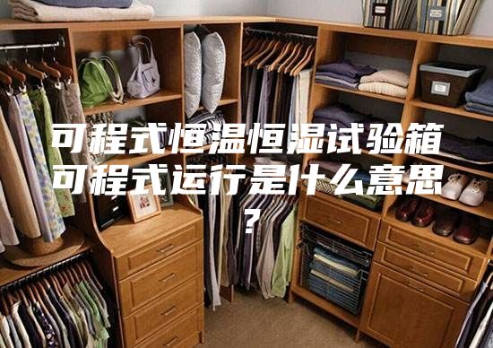 可程式恒温恒湿试验箱可程式运行是什么意思？