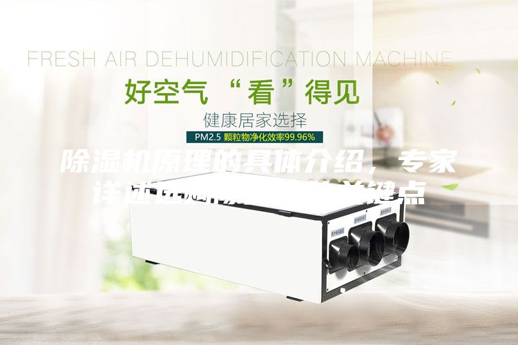 除湿机原理的具体介绍,专家详述选购除湿机的关键点