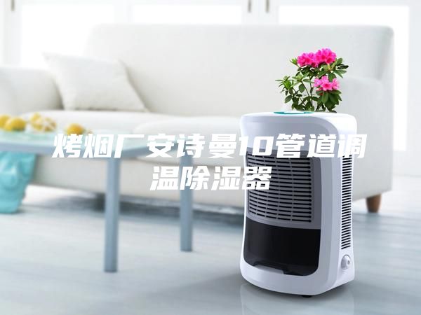 烤烟厂安诗曼10管道调温除湿器