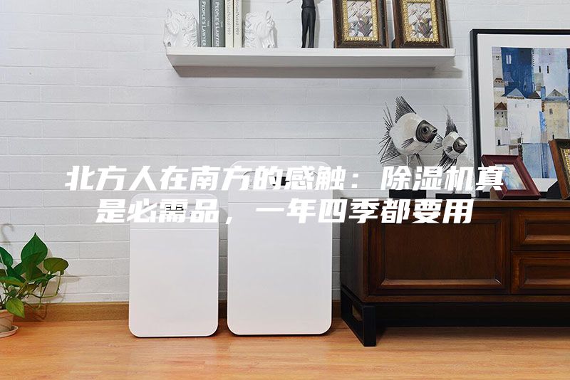 北方人在南方的感触：除湿机真是必需品，一年四季都要用