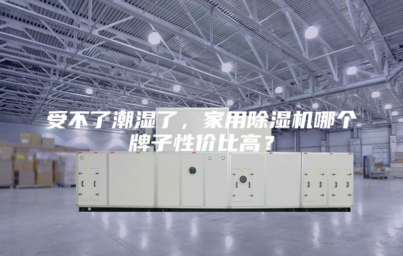 受不了潮湿了，家用除湿机哪个牌子性价比高？