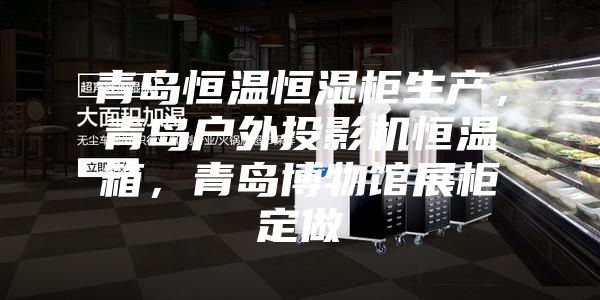 青岛恒温恒湿柜生产，青岛户外投影机恒温箱，青岛博物馆展柜定做