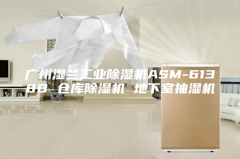 广州湿兰工业除湿机ASM-6138B 仓库除湿机 地下室抽湿机