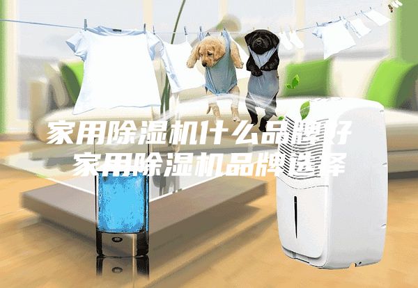 家用除湿机什么品牌好 家用除湿机品牌选择