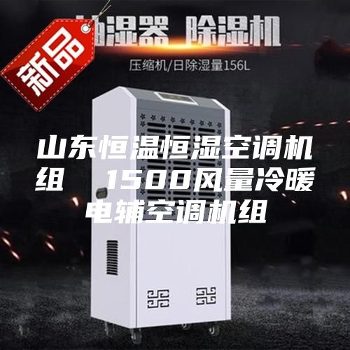 山东恒温恒湿空调机组  1500风量冷暖电辅空调机组