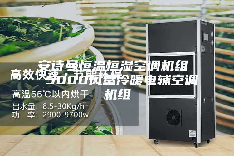 安诗曼恒温恒湿空调机组  5000风量冷暖电辅空调机组