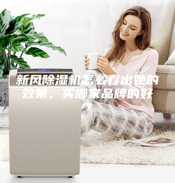 新风除湿机怎么看出她的效果,买哪家品牌的好?