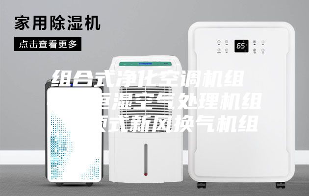 组合式净化空调机组 恒温恒湿空气处理机组 吊顶式新风换气机组