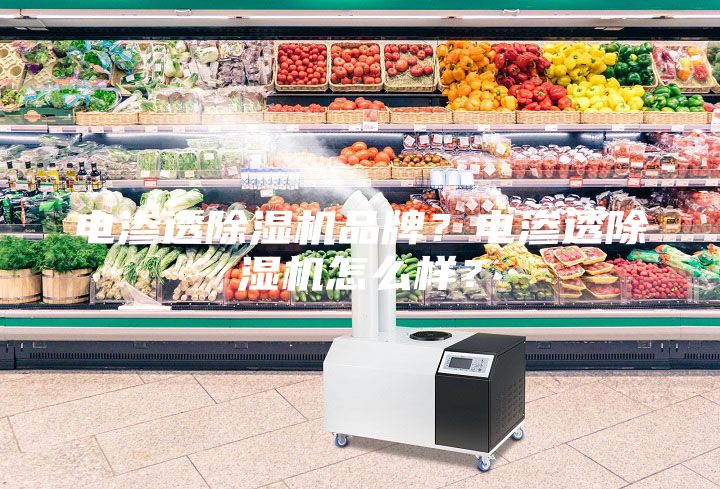 电渗透除湿机品牌？电渗透除湿机怎么样？