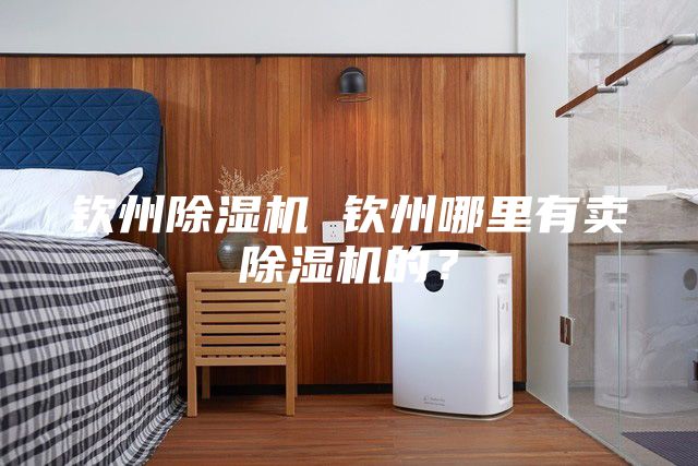 钦州除湿机 钦州哪里有卖除湿机的？