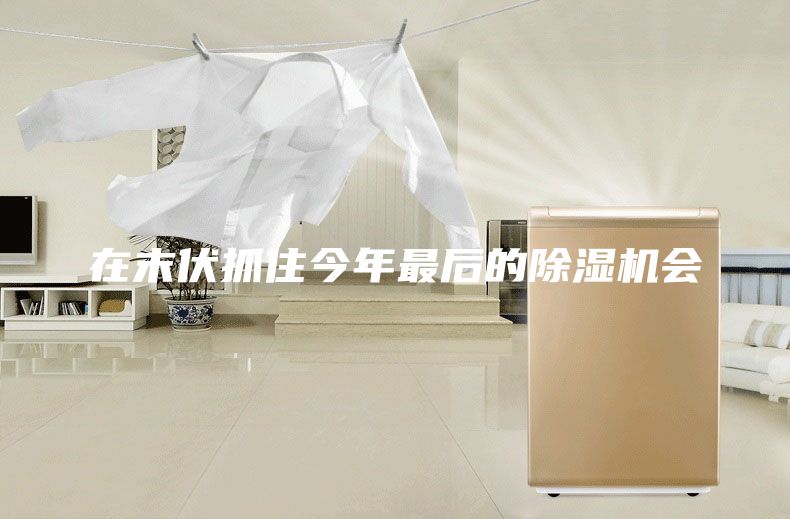 在末伏抓住今年最后的除湿机会