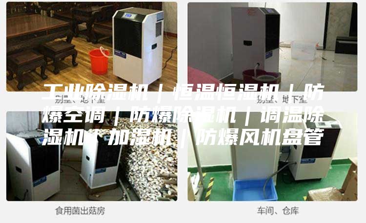工业除湿机｜恒温恒湿机｜防爆空调｜防爆除湿机｜调温除湿机｜加湿机｜防爆风机盘管
