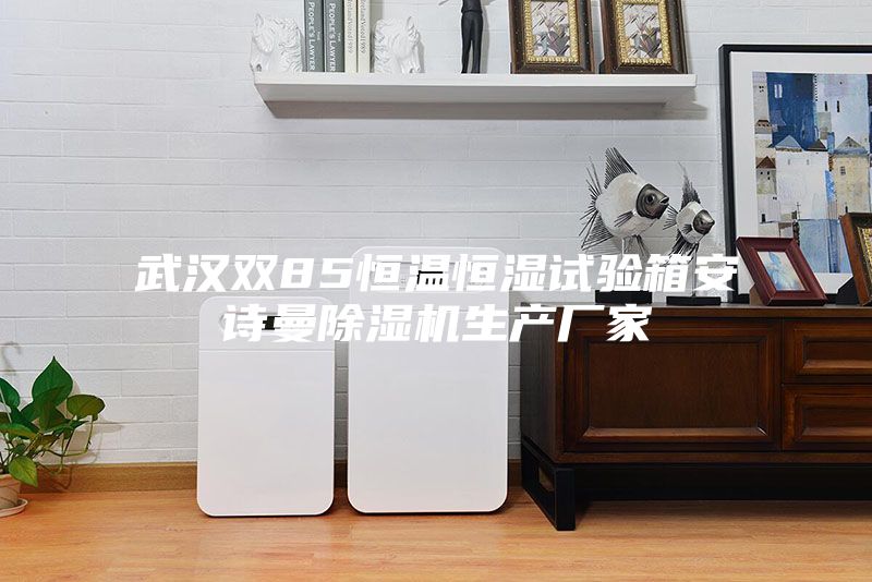 武汉双85恒温恒湿试验箱安诗曼除湿机生产厂家