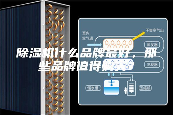 除湿机什么品牌最好，那些品牌值得购买？