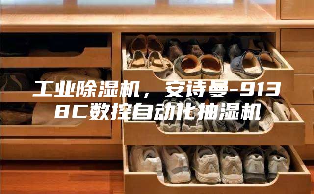 工业除湿机，安诗曼-9138C数控自动化抽湿机