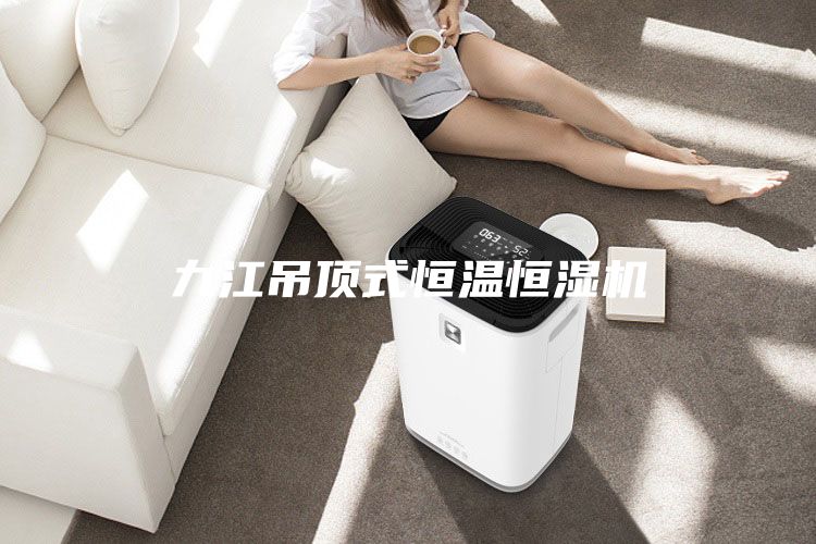 九江吊顶式恒温恒湿机