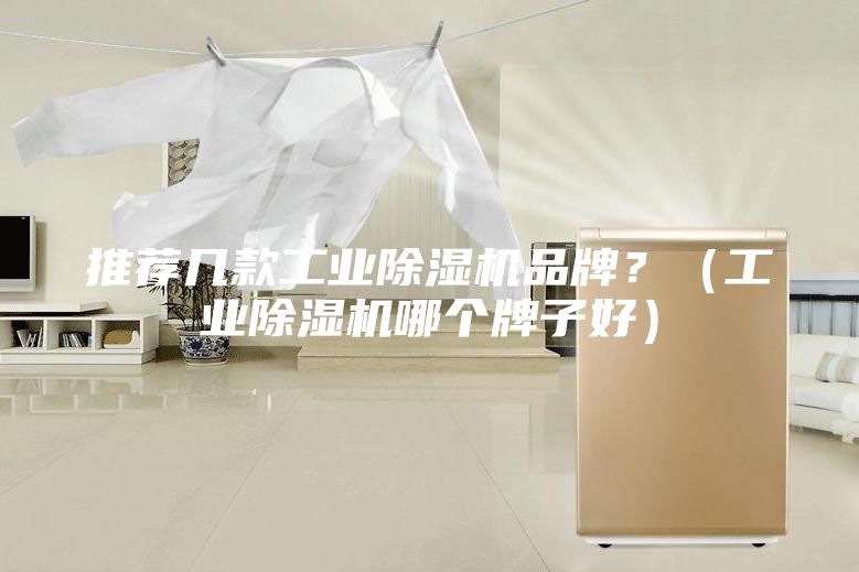 推荐几款工业除湿机品牌？（工业除湿机哪个牌子好）