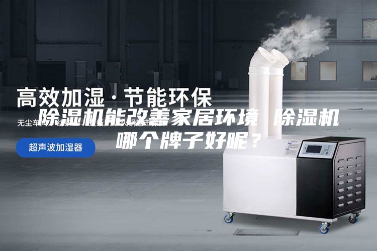 除湿机能改善家居环境 除湿机哪个牌子好呢？