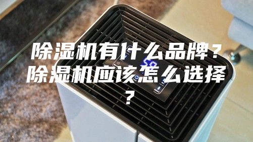除湿机有什么品牌？除湿机应该怎么选择？