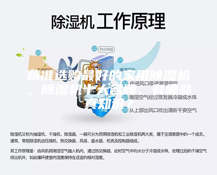 精准选购最好的家用除湿机，除湿机十大名牌，有哪些真知识？