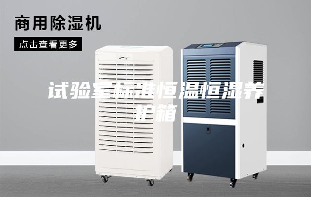 试验室标准恒温恒湿养护箱