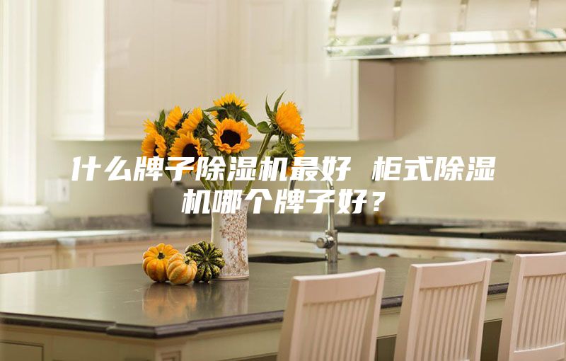 什么牌子除湿机最好 柜式除湿机哪个牌子好？