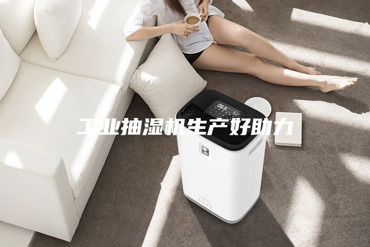 工业抽湿机生产好助力